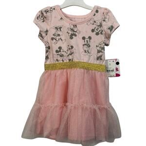 Minnie Mouse 18 Month Pink Tulle Dress